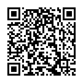 QR 9ba6313