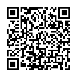 QR 9c21386