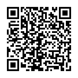 QR 9c4463e
