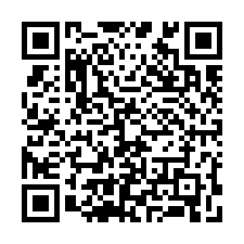 QR 9c53c22