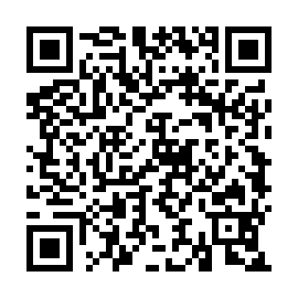 QR 9e30384