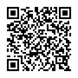QR 9e56385