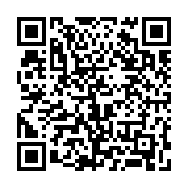 QR 9e6553b