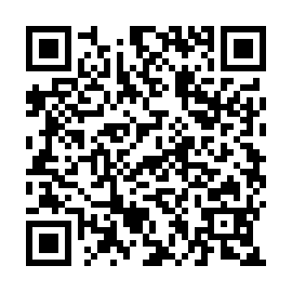 QR a013b5b