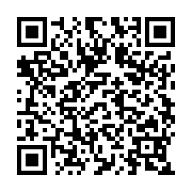 QR a074d3b