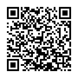 QR a133a3d