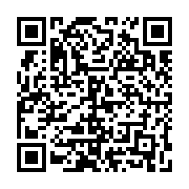 QR a227493