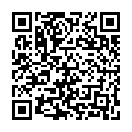 QR a22a531
