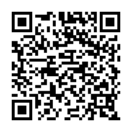 QR a233b3a