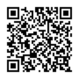 QR a252c53