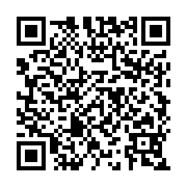 QR a2938b0