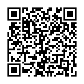 QR a2e9133