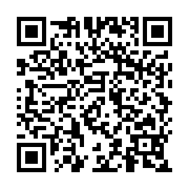 QR a301e91
