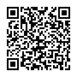 QR a311211