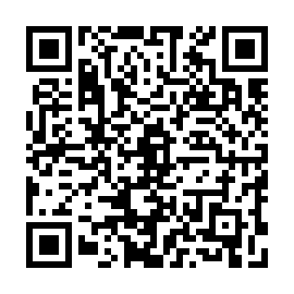 QR a336d2e