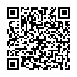 QR a33b361