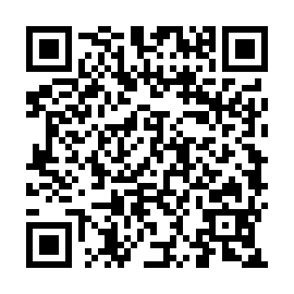 QR a33d10d