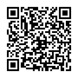 QR a33e781