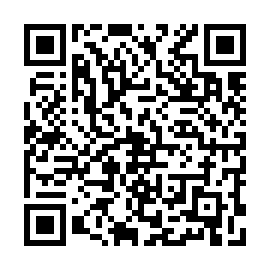 QR a33f1d4