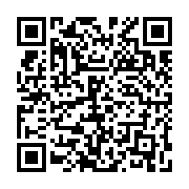QR a33f843