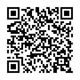 QR a395e65