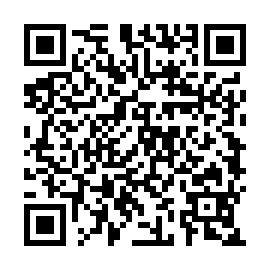 QR a3e38f4