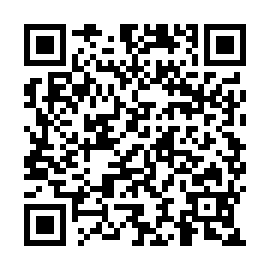 QR a401e87