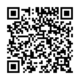 QR a41d311