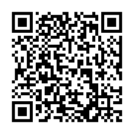 QR a45e619