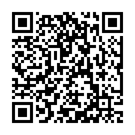 QR a4929b3