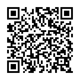 QR a495ff2