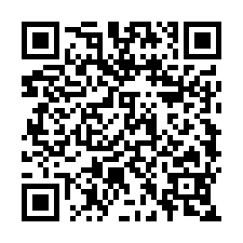 QR a4b84ed
