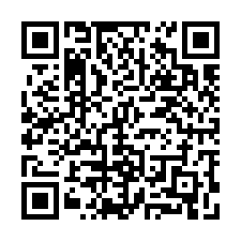 QR a528746