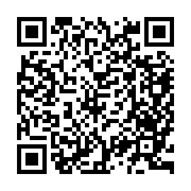 QR a533581