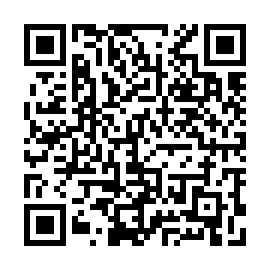 QR a53bc9f