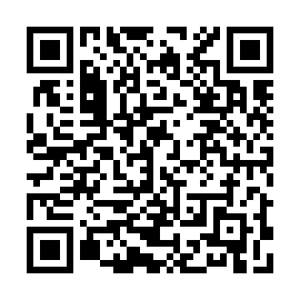 QR a53e8e8