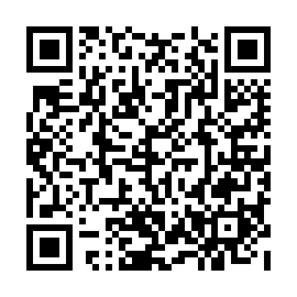 QR a53f33e