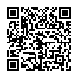QR a638e30
