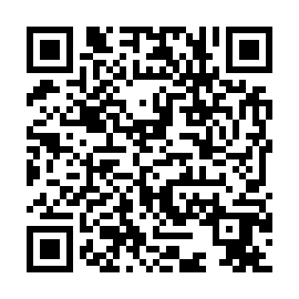 QR a81d2e9