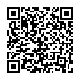 QR a833b91