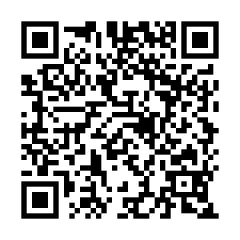 QR a83e28a
