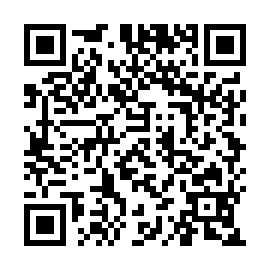QR a919c21