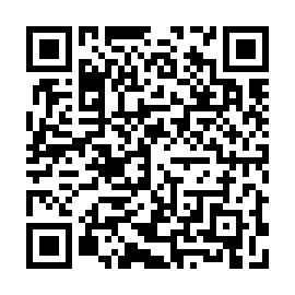 QR a982f28