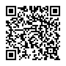 QR a991151