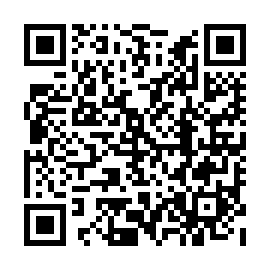 QR aa91c13