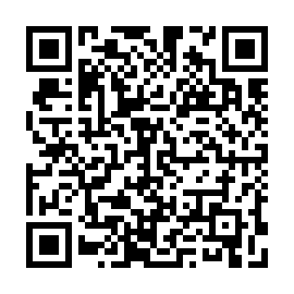 QR ab81b63