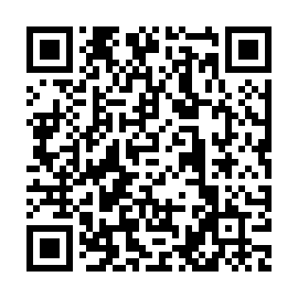 QR ace3065