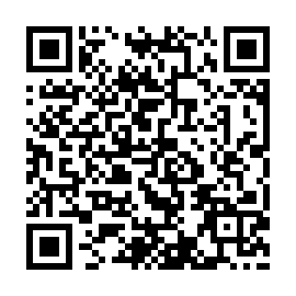QR ae30311