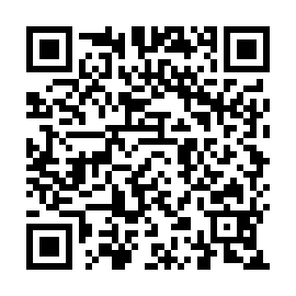 QR ae33131