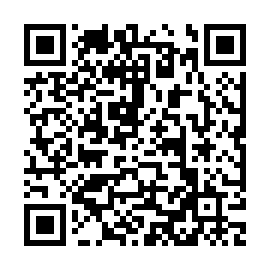 QR ae3985b